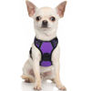 Picture of rabbitgoo Dog Harness, No-Pull Pet Harness with 2 Leash Clips, Adjustable Soft Padded Dog Vest, Reflective No-Choke Pet Oxford Vest with Easy Control Handle for Small Dogs, Purple,XS