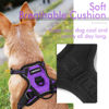 Picture of rabbitgoo Dog Harness, No-Pull Pet Harness with 2 Leash Clips, Adjustable Soft Padded Dog Vest, Reflective No-Choke Pet Oxford Vest with Easy Control Handle for Small Dogs, Purple,XS