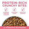 Picture of Purina ONE High Protein, Natural Dry Kitten Food, +Plus Healthy Kitten Formula - 3.5 lb. Bag