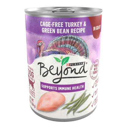 Picture of Purina Beyond Turkey and Green Bean in Gravy Natural Grain Free Wet Dog Food with Added Vitamins and Minerals - (12) 12.5 oz. Cans