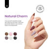 Picture of beetles Gel Polish 16 Colors Gel Nail Natural Charm Collection Pink Nude Nail Design Soak Off Burgundy Manicure Golden Glitter Color Set Need Uv Light Cured Salon Home Diy