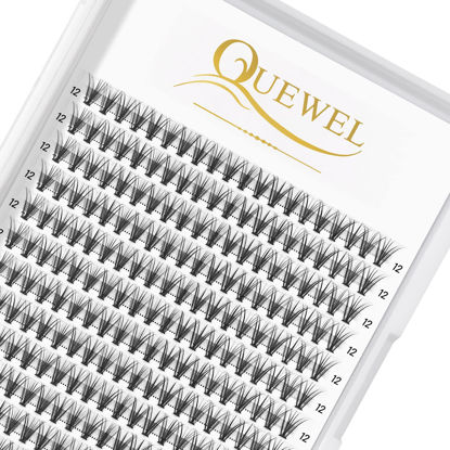 Picture of QUEWEL Cluster Lashes 240Pcs Individual Lashes 20D 0.07D Curl 12mm Knot-Free Lash Extensions Clusters Lashes Soft&Natural False Eyelashes Individual DIY Eyelash Extension at Home(20D 0.07D 12)