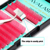 Picture of VAVALASH Colored Easy Fan Eyelash Extensions 0.07 D Curl 8-15mm Mixed Tray Pink Self Fanning Lashes 2D-10D Colorful Volume lash extensions（Pink,0.07-D-8-15 Mix）