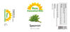 Picture of Sun Essential Oils 4oz - Spearmint Essential Oil - 4 Fluid Ounces