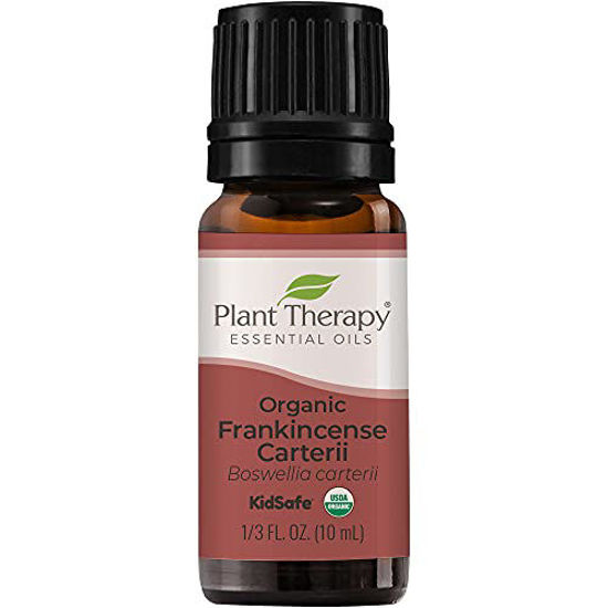 Picture of Plant Therapy Organic Frankincense Carterii Essential Oil 100% Pure, USDA Certified Organic, Undiluted, Natural Aromatherapy, Therapeutic Grade 10 mL (1/3 oz)