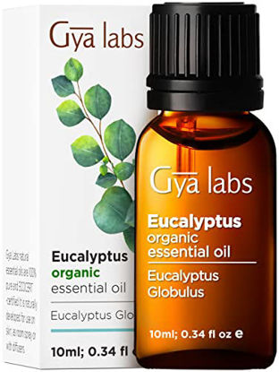 Picture of Gya Labs Organic Eucalyptus Essential Oil for Diffuser - 100% Pure Therapeutic Grade Eucalyptus Oil Essential Oil - Eucalyptus Essential Oil Organic for Skin Humidifier, Sinus & Hair (0.34 fl oz)