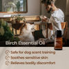 Picture of Gya Labs Birch Essential Oil (0.34 fl oz) - Sweet, Minty & Camphorous Scent