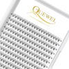 Picture of QUEWEL Cluster Lashes 240Pcs Individual Lashes 10D 0.10C Curl 10mm Knot-Free Lash Extensions Clusters Lashes Soft&Natural False Eyelashes Individual DIY Eyelash Extension at Home(10D 0.10C 10)