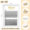 Picture of QUEWEL Cluster Lashes 240Pcs Individual Lashes 20D+30D D Curl Mix8-14mm Lash Extensions Clusters Lashes Soft&Natural False Eyelashes Individual DIY Eyelash Extension at Home(20D+30D D mix-8-14)