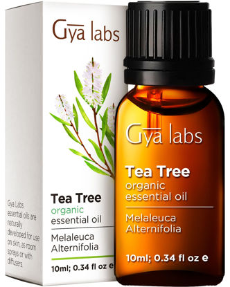 Picture of Gya Labs Australian Organic Tea Tree Oil for Skin - Natural Tea Tree Oil for Hair - Tea Tree Oil for Face - Tea Tree Essential Oil for Toenails, Scalp & Piercings - (0.34 fl oz)