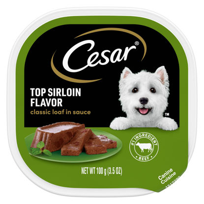 Picture of CESAR CLASSICS Loaf in Sauce Gourmet Wet Dog Food, Pack of 24