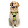 Picture of rabbitgoo Dog Harness, No-Pull Pet Harness with 2 Leash Clips, Adjustable Soft Padded Dog Vest, Reflective No-Choke Pet Oxford Vest with Easy Control Handle for Large Dogs, Green, L