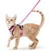 Picture of rabbitgoo Cat Harness and Leash for Walking, Escape Proof Soft Adjustable Vest Harnesses for Cats, Easy Control Breathable Reflective Strips Jacket, Pink, S (Chest: 18" - 20")