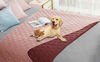 Picture of Ameritex Waterproof Dog Bed Cover Pet Blanket for Furniture Bed Couch Sofa Reversible