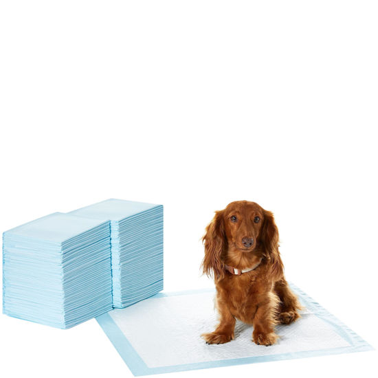 Scented puppy outlet pee pads