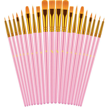 Picture of Paint Brushes Set, 20 Pcs Paint Brushes for Acrylic Painting, Oil Watercolor Acrylic Paint Brush, Artist Paintbrushes for Body Face Rock Canvas, Kids Adult Drawing Arts Crafts Supplies, Blush