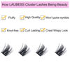 Picture of Cluster Lashes 72pcs Individual Lashes Mixed Tray Volume Eyelash Clusters DIY Lash Extension Fluffy Cluster Eyelash Extensions Kit Soft Lash Clusters (01-0.07C, 9-16mm)