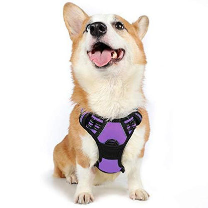 Picture of rabbitgoo Dog Harness, No-Pull Pet Harness with 2 Leash Clips, Adjustable Soft Padded Dog Vest, Reflective No-Choke Pet Oxford Vest with Easy Control Handle for Medium Dogs, Purple, M