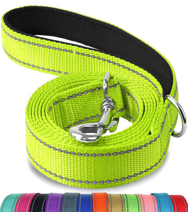 Outdoor High Strength Nylon Pet Dog Traction Rope Supply for Outside  Walkinggreen Large