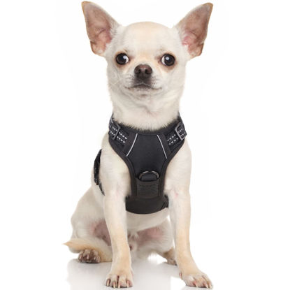 Picture of rabbitgoo Dog Harness, No-Pull Pet Harness with 2 Leash Clips, Adjustable Soft Padded Dog Vest, Reflective No-Choke Pet Oxford Vest with Easy Control Handle for Small Dogs, Black, X-Small