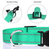 Picture of TagME Reflective Nylon Dog Collars, Adjustable Classic Dog Collar with Quick Release Buckle for Extra Large Dogs, Turquoise, 1¼" Width