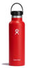 Picture of Hydro Flask Standard Mouth with Flex Cap - Insulated Water Bottle 21 Oz