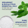 Picture of Dr Teal's Pure Epsom Salt, Relax & Relief With Eucalyptus And Spearmint, 3 lb (Pack of 4) (Packaging May Vary)