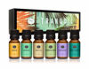 Picture of P&J Fragrance Oil Tranquil Set | Vanilla, Cucumber Melon, Lavender, Amber, Bamboo, and Ocean Breeze Candle Scents for Candle Making, Freshie Scents, Soap Making Supplies, Diffuser Oil Scents