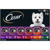 Picture of CESAR Wet Dog Food Classic Loaf in Sauce Grilled Chicken, Filet Mignon, Porterhouse Steak, Beef, Chicken & Liver and Turkey Variety Pack (36) 3.5 oz. Easy Peel Trays