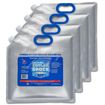 Cooler Shock Ice Packs for Cooler, Strong, Reusable, Premium Ice Pack and  Lunch