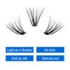 Picture of Individual Cluster Lashes 30 Roots Natural Eyelash Clusters C Curl 0.07mm Thickness Natural Look Black Soft Eyelashes 8-16mm Mixed Mink DIY Individual Eyelashes Grafting Fake False Eyelashes Lashes Extension Handmade by WENDY LASHES(Cluster Lashes-30D-C,8-16mm Mixed Tray)