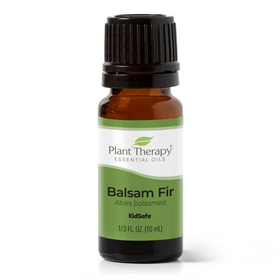 Picture of Plant Therapy Balsam Fir Essential Oil 10 mL (1/3 oz) 100% Pure, Undiluted, Therapeutic Grade