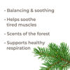 Picture of Plant Therapy Balsam Fir Essential Oil 10 mL (1/3 oz) 100% Pure, Undiluted, Therapeutic Grade