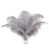 Picture of Ballinger Natural Gray Ostrich Feathers - 24pcs 10-12inch for Wedding Party Centerpieces Home Decor