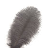 Picture of Ballinger Natural Gray Ostrich Feathers - 24pcs 10-12inch for Wedding Party Centerpieces Home Decor