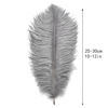 Picture of Ballinger Natural Gray Ostrich Feathers - 24pcs 10-12inch for Wedding Party Centerpieces Home Decor