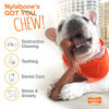 Picture of Nylabone Power Chew Flavored Durable Chew Toy for Dogs Original X-Small/Petite (1 Count)