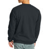 Picture of Hanes Men's EcoSmart Sweatshirt, Black, Medium