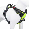 Picture of PHOEPET No Pull Dog Harnesses for Small Dogs Reflective Adjustable Front Clip Vest with Handle 2 Metal Rings 3 Buckles [Easy to Put on & Take Off](S, Green)