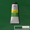 Picture of Winsor & Newton Galeria Acrylic Color, 60ml (2-oz) Tube, Sap Green