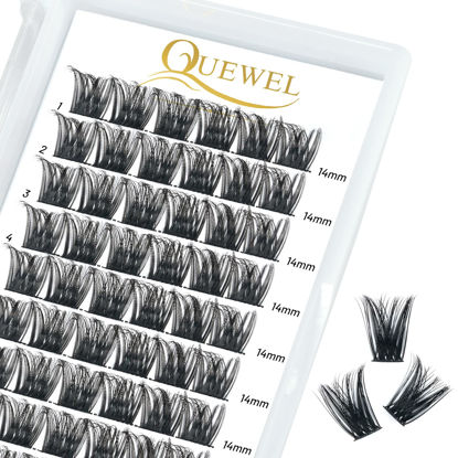 Picture of QUEWEL Cluster Lashes 72 Pcs Wide Stem Individual Lashes C/D Curl 8-16mm Length DIY Eyelash Extension False Eyelashes Soft for Personal Makeup Use at Home (honey01-C-14)