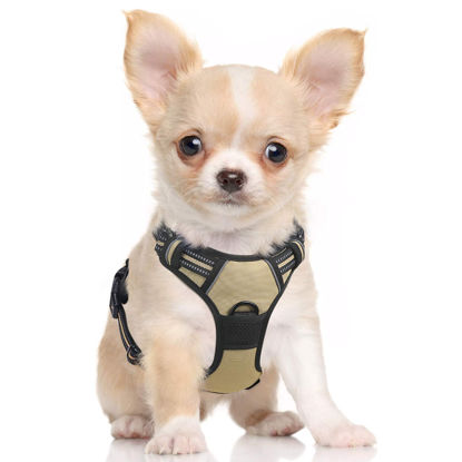 Picture of rabbitgoo Dog Harness, No-Pull Pet Harness with 2 Leash Clips, Adjustable Soft Padded Dog Vest, Reflective No-Choke Pet Oxford Vest with Easy Control Handle for Small Dogs, Beige, S