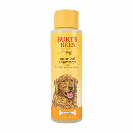 Picture of Burt's Bees for Pets Oatmeal Dog Shampoo | With Colloidal Oat Flour & Honey | Moisturizing & Nourishing, Cruelty Free, Sulfate & Paraben Free, pH Balanced for Dogs - Made in USA, 16 Oz