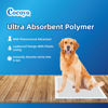 Picture of COCOYO Best Value Training Pads, 22" by 22", 100Count