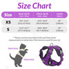 Picture of rabbitgoo Cat Harness and Leash for Walking, Escape Proof Soft Adjustable Vest Harnesses for Cats, Easy Control Breathable Reflective Strips Jacket, Purple, XS(Chest: 13.5"-16")