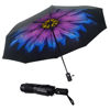 Picture of SY COMPACT Travel Umbrella Windproof Automatic Umbrellas-Factory Outlet umbrella