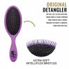 Picture of Wet-Brush Detangling Hair Brush - Purple - 2 Pack Detangler - Comb for Women, Men & Kids - Wet or Dry - Removes Knots and Tangles, Best for Natural, Straight, Thick & Curly Hair - Pain Free