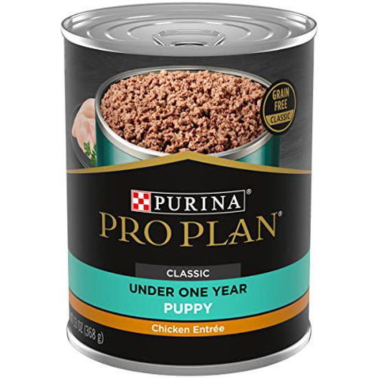 Good soft puppy food sale