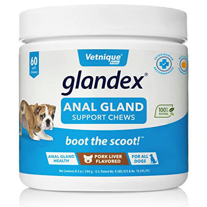 https://www.getuscart.com/images/thumbs/1153198_glandex-anal-gland-soft-chew-treats-with-pumpkin-for-dogs-60ct-chews-with-digestive-enzymes-probioti_415.jpeg