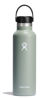 Picture of Hydro Flask 21 Oz Standard Flex Cap Agave